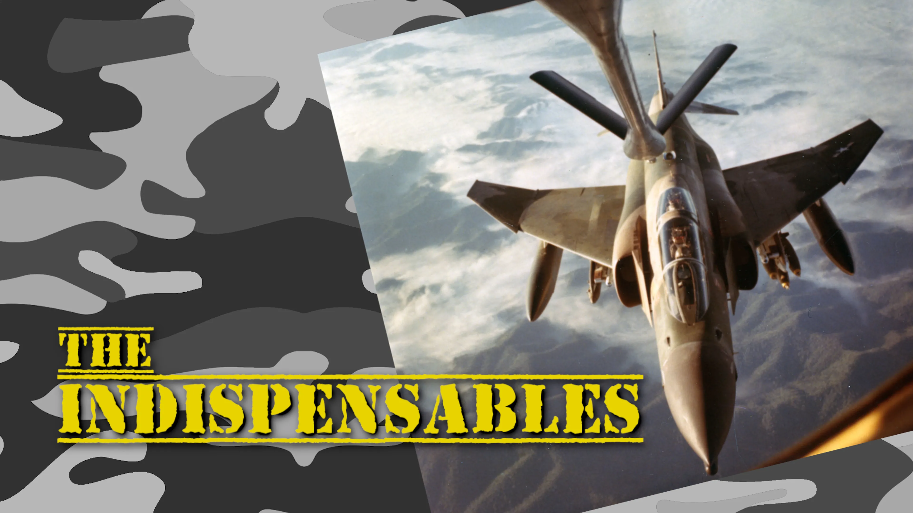 The Indispensables poster